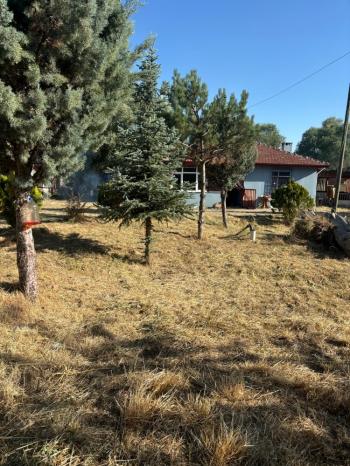 GÜVENAY - ÇORUM SARMAŞA MEVKİİ 500 M² SATILIK EVLİ HOBİ BAHÇESİ