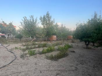 GÜVENAY - ÇORUM PAŞA BAĞLARI PAŞA KÖY ÜSTÜ 1 DÖNÜM EVİ OLAN BAĞ