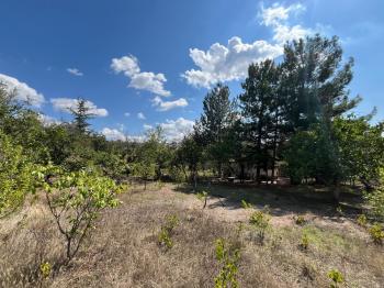 GÜVENAY - ÇORUM AYARIK BAĞLARI CAMİİ ARKASI 2 DÖNÜM SATILIK BAĞ