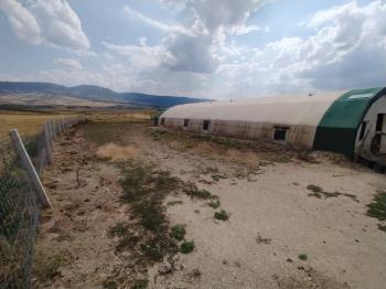 GÜVENAY - ÇORUM CEMİLBEY YOLU ÜYÜK KÖYÜ MEVKİİ KİRACILI SATILIK ÇİFTLİK