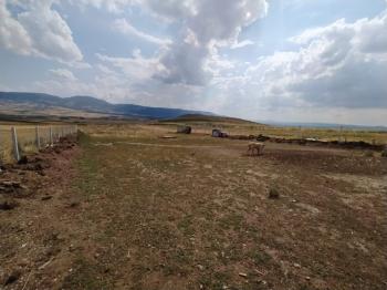 GÜVENAY - ÇORUM CEMİLBEY YOLU ÜYÜK KÖYÜ MEVKİİ KİRACILI SATILIK ÇİFTLİK