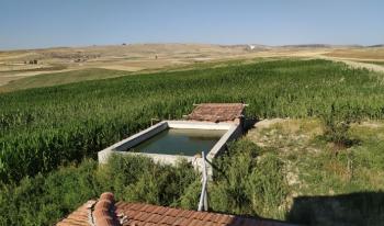 GÜVENAY - ÇORUM CEMİLBEY ÜYÜK YOLU ÜZERİ 28 DÖNÜM TARLA