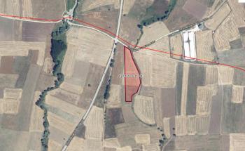 ÇOĞULLU KÖYÜNDE SATILIK TARLA