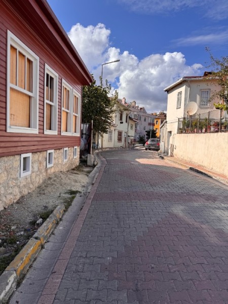 Eyüpsultan Nişancı Mahallesi Otoparklı Havuzlu Satılık Müstakil Ev