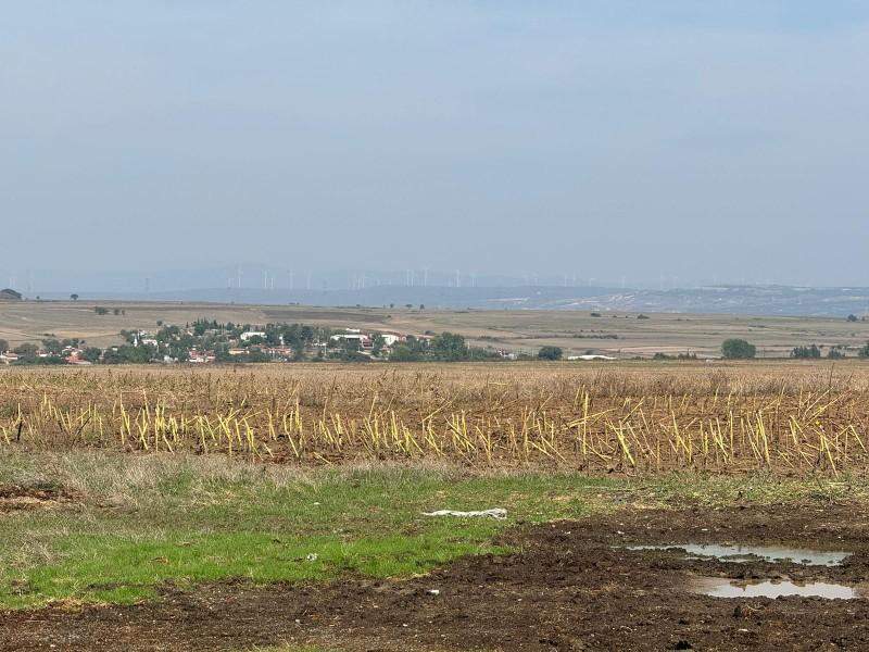 Altın Yuvam Gayrimenkul