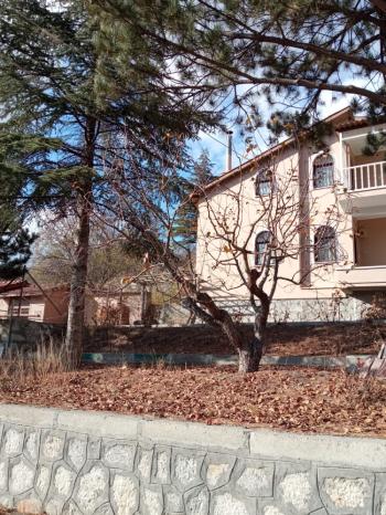 Güvenay - Çorum Ayarık Bağları Satılık 1 Dönüm Bağ 