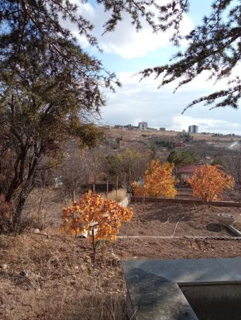 Güvenay - Çorum Ayarık Bağları Satılık 1 Dönüm Bağ 