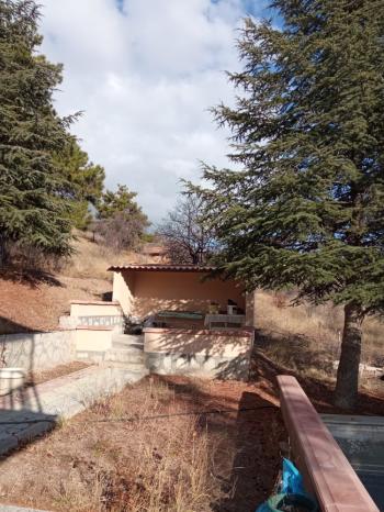 Güvenay - Çorum Ayarık Bağları Satılık 1 Dönüm Bağ 