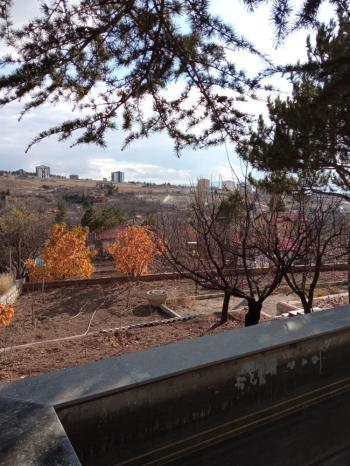 Güvenay - Çorum Ayarık Bağları Satılık 1 Dönüm Bağ 