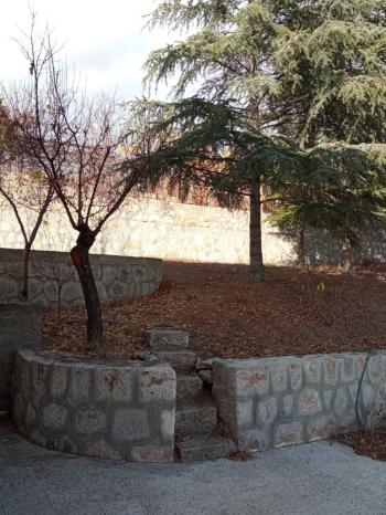 Güvenay - Çorum Ayarık Bağları Satılık 1 Dönüm Bağ 