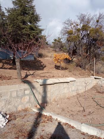 Güvenay - Çorum Ayarık Bağları Satılık 1 Dönüm Bağ 