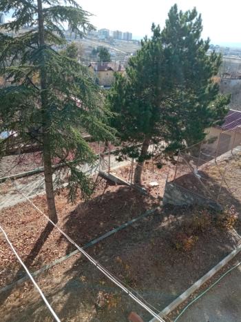 Güvenay - Çorum Ayarık Bağları Satılık 1 Dönüm Bağ 