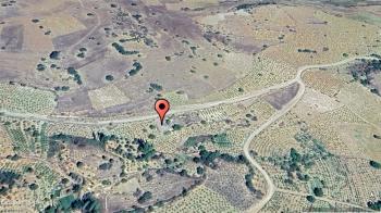 KONYA HADİM GÖYNÜKKIŞLA 204 M² YOLA CEPHE SATILIK TARLA