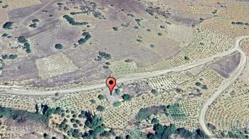 KONYA HADİM GÖYNÜKKIŞLA 204 M² YOLA CEPHE SATILIK TARLA