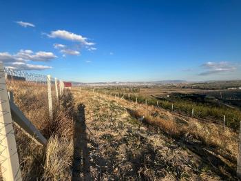 Güvenay - Çorum İskilip Yolu Karabürçek Köyünde Satılık Hobi Bahçesi