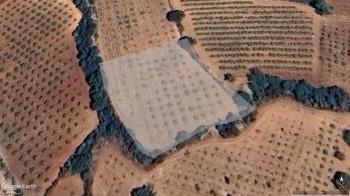 DENİZLİ ÇAL ÇALÇAKIRLAR MEVKİİ 2,254 M² SATILIK BAĞ