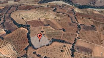 DENİZLİ ÇAL ÇALÇAKIRLAR MEVKİİ 2,254 M² SATILIK BAĞ