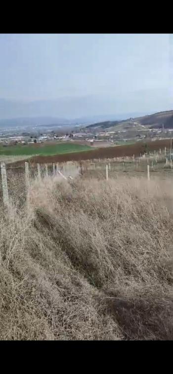 GÜVENAY - ÇORUM İskilip Yolu 12. Km Altınbaş'ta 500 m² Satılık Bahçe!