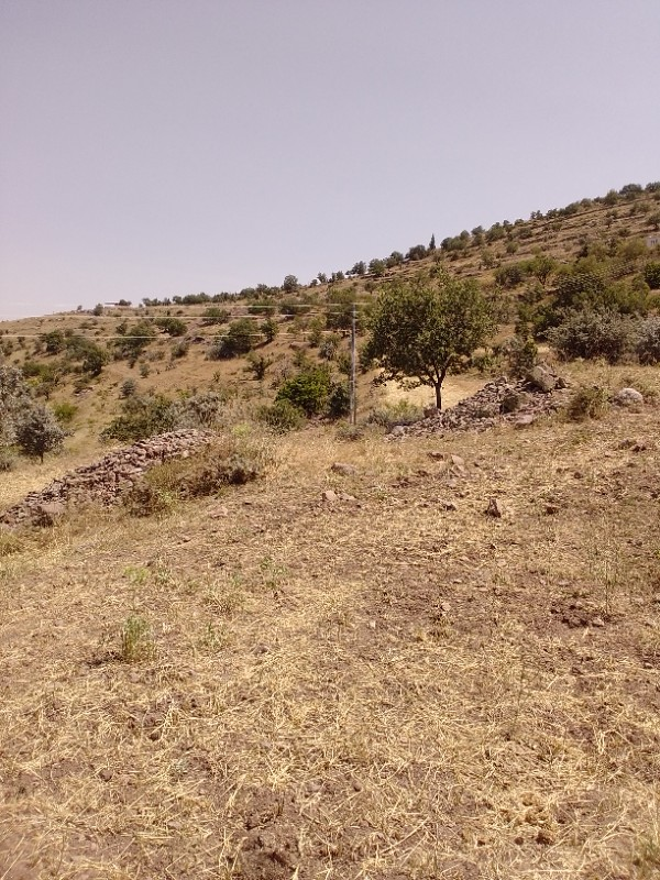 Kayseri Talas Endürlük'te satılık bağ