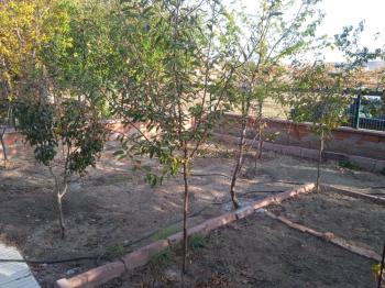 GÜVENAY - ÇORUM GÜZELYURT MEVKİİ İÇERİSİNDE EVİ OLAN SATILIK BAĞ