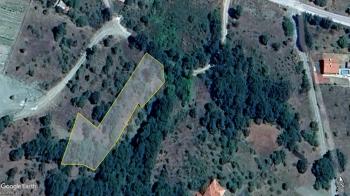 GÜVENAY - ÇORUM ŞEKER FABR. ARKASI BURUN KÖY 1,425 M² SATILIK BAĞ 