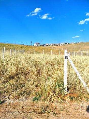 Güvenay - Çorum Eskiekin Mevkii 500 M² Taksitli Satılık Bahçe 