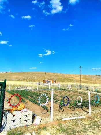 Güvenay - Çorum Eskiekin Mevkii 500 M² Taksitli Satılık Bahçe 