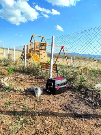 Güvenay - Çorum Eskiekin Mevkii 500 M² Taksitli Satılık Bahçe 