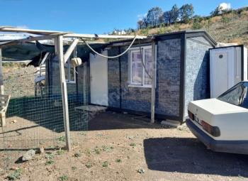 GÜVENAY - ÇORUM KIZILPINAR KÖYÜ 12,349 M² CEVİZ BAHÇESİ