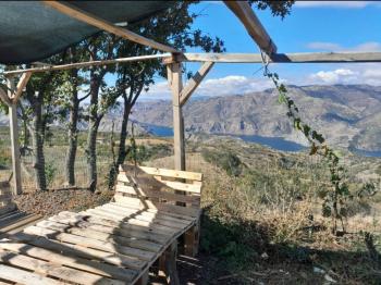 GÜVENAY - ÇORUM KIZILPINAR KÖYÜ 12,349 M² CEVİZ BAHÇESİ