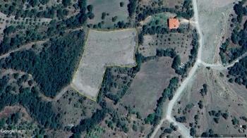 GÜVENAY - ÇORUM BOYRALI BAĞLARI YANI KILIÇÖRENDE 5.5 DÖNÜM BAĞ & TARLA