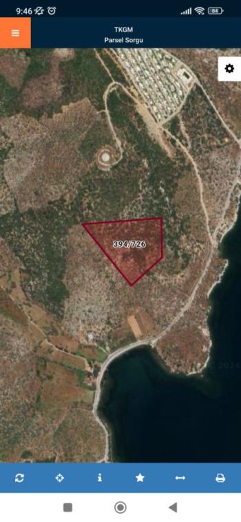 MUĞLA MİLAS KIYIKIŞLACIK MEVKİİ SATILIK 230 M2 ZEYTİNLİK 