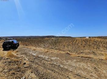 SATILIK HİSSELİ YATIRIMLIK FIRSAT TARLA 12.249,01 M2 EDİRNE -KEŞAN /BARAĞI KÖYÜ