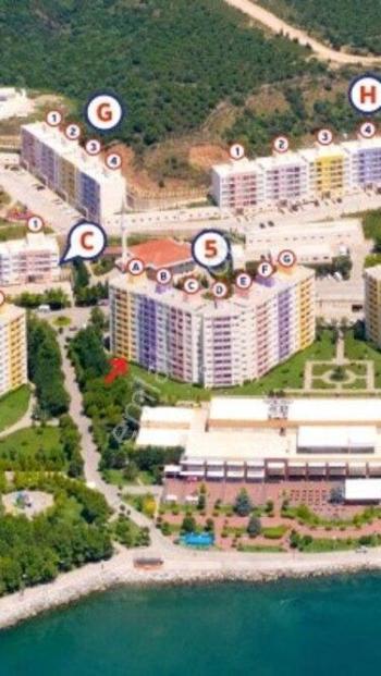 ACİLLL...İHLAS ARMUTLU- ÇOK UYGUN 3000 TL