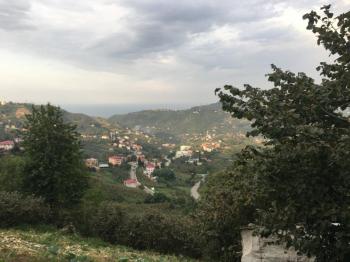 ACİL SATILIK GÜRBULAK SEYRANTEPE SATILIK FINDIK BAHÇESİ
