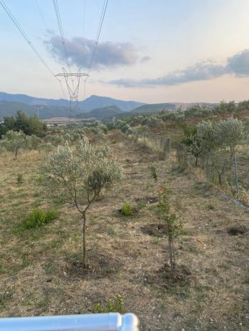 YAKAKÖYDE MANZARALI 1.111 m2 BAHÇEDE 140 M2 MÜSTAKİL EŞYALI EV