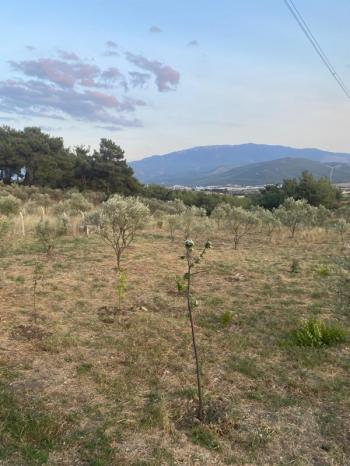 YAKAKÖYDE MANZARALI 1.111 m2 BAHÇEDE 140 M2 MÜSTAKİL EŞYALI EV