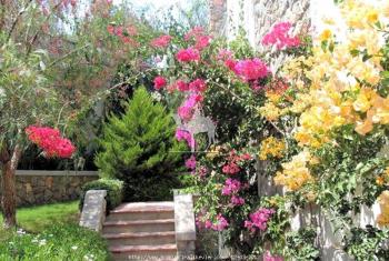 BODRUM YALIKAVAK'TA KİRALIK VİLLA