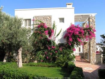 BODRUM YALIKAVAK'TA KİRALIK VİLLA