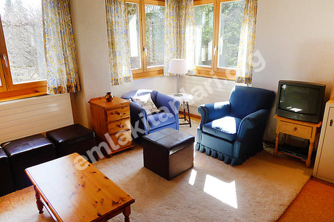 •	KARTEPE Günlük Kiralık Dağ Evi SAPANCA DAG EVI 