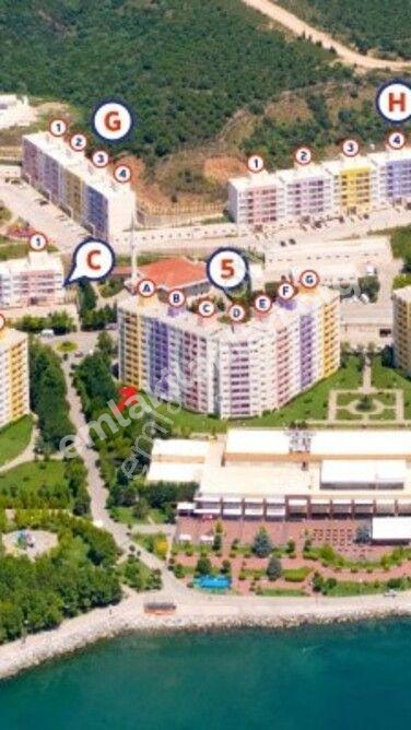ACİLLL...İHLAS ARMUTLU- ÇOK UYGUN 3000 TL