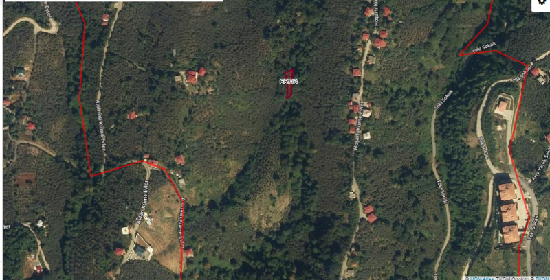 (MİRAS) ÜNİVERSİTE HOCASINDAN VİLLA YAPILABİLECEK ARSA