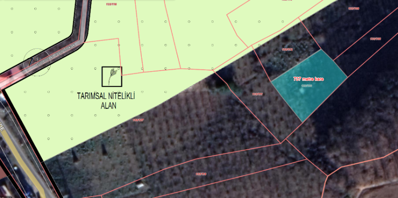 ACİL SATILIK GÜRBULAK SEYRANTEPE SATILIK FINDIK BAHÇESİ