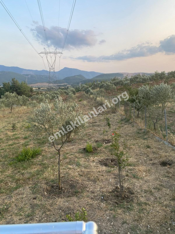 YAKAKÖYDE MANZARALI 1.111 m2 BAHÇEDE 140 M2 MÜSTAKİL EŞYALI EV
