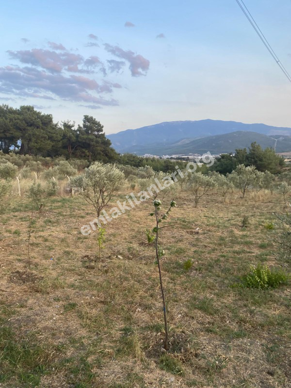 YAKAKÖYDE MANZARALI 1.111 m2 BAHÇEDE 140 M2 MÜSTAKİL EŞYALI EV