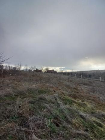 GÜVENAY - ÇORUM PAŞA BAĞLARI PAŞA KÖY ÜSTÜ 1 DÖNUM BAĞ 