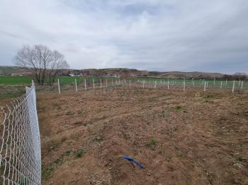 GÜVENAY - ÇORUM SARMAŞA KÖYÜ KARŞISI SATILIK BAHÇE 