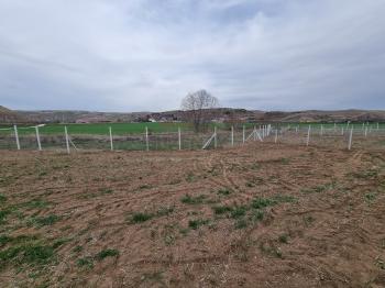 GÜVENAY - ÇORUM SARMAŞA KÖYÜ KARŞISI SATILIK BAHÇE 