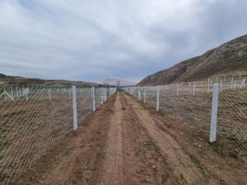 GÜVENAY - ÇORUM SARMAŞA KÖYÜ KARŞISI SATILIK BAHÇE 