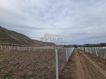 GÜVENAY - ÇORUM SARMAŞA KÖYÜ KARŞISI SATILIK BAHÇE 